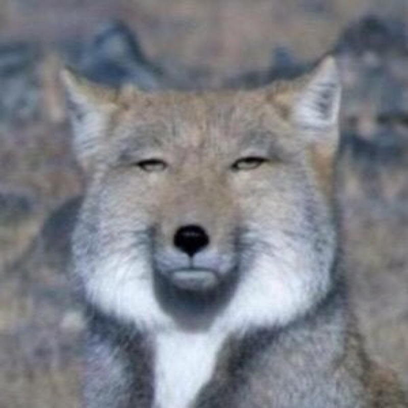 ❤よしえ(*´ω｀*)ぷりん❤