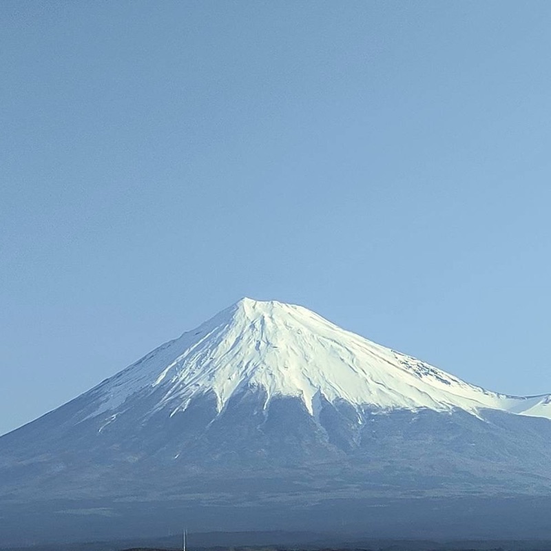 みどり