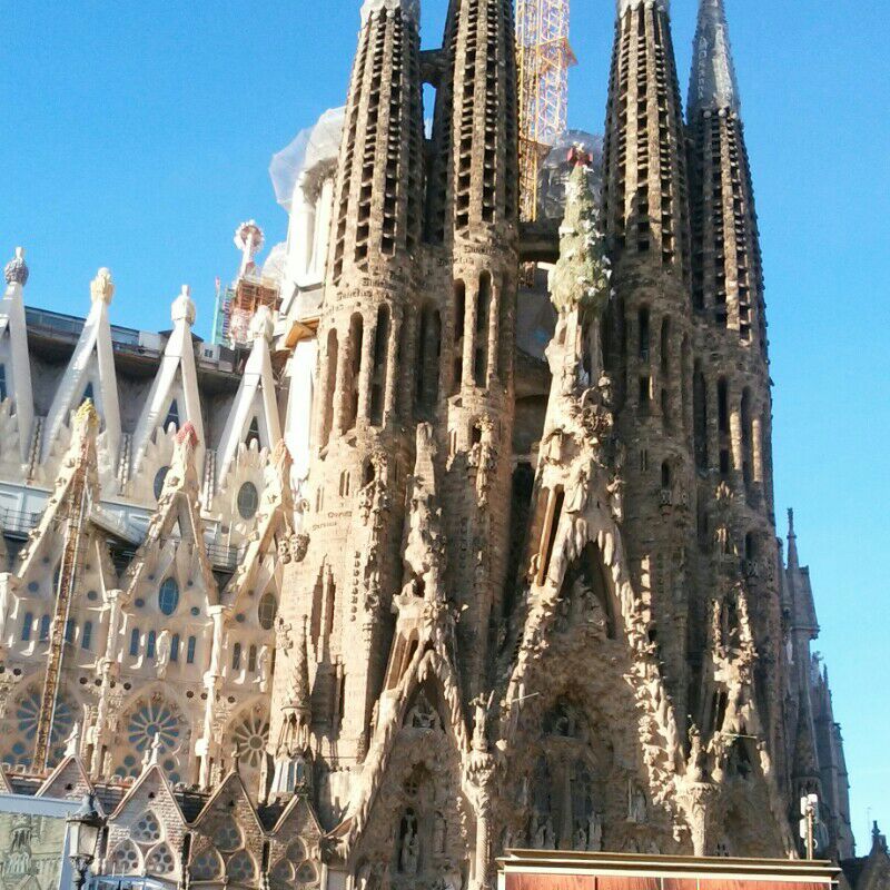 山﨑幸代(今井)