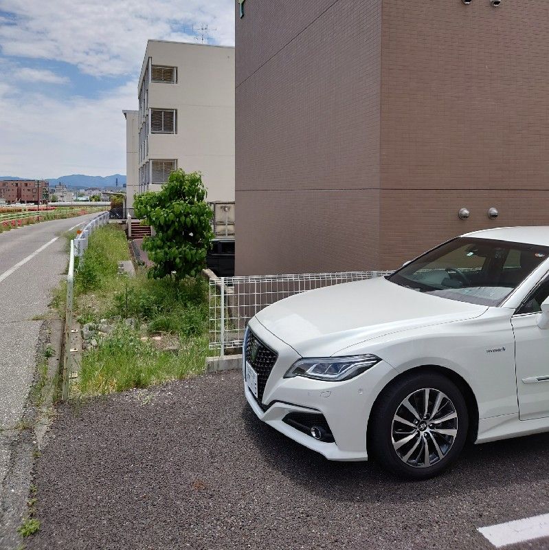 まいのぶんぶん