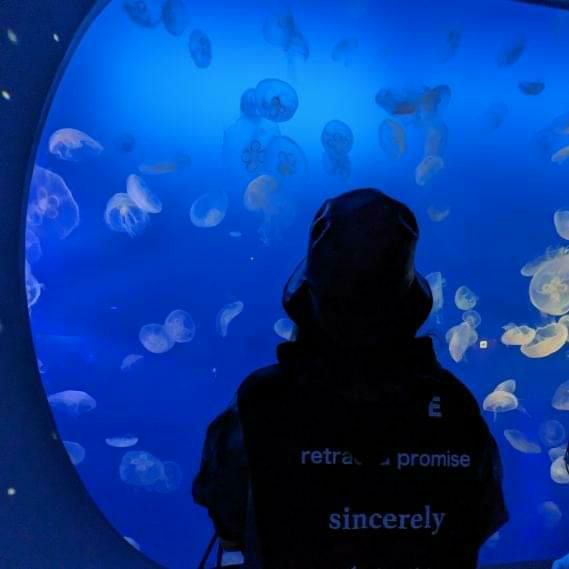 美香(petite fleur)