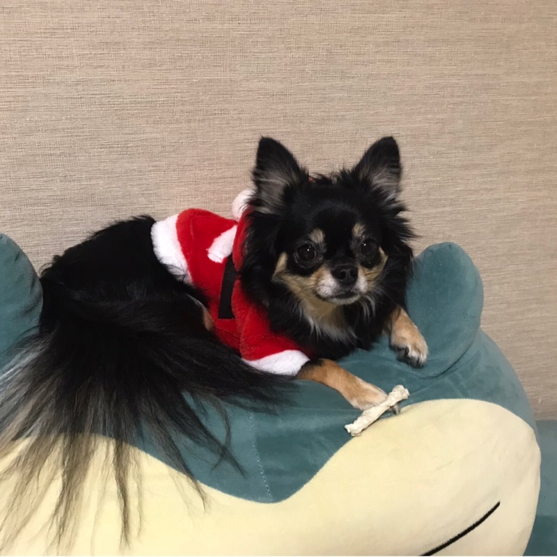 いまだ もかママ