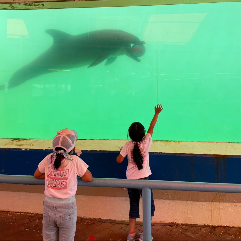 いずおか やすこ