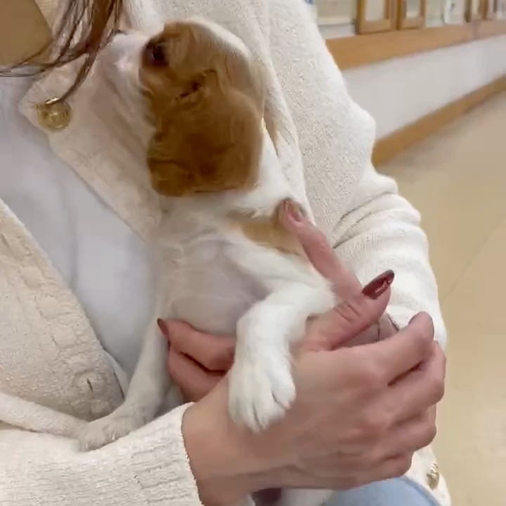 ○o  。∴★HIRoMI★∴  。o○