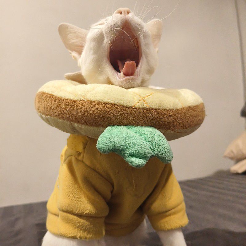 Kikkapoo
