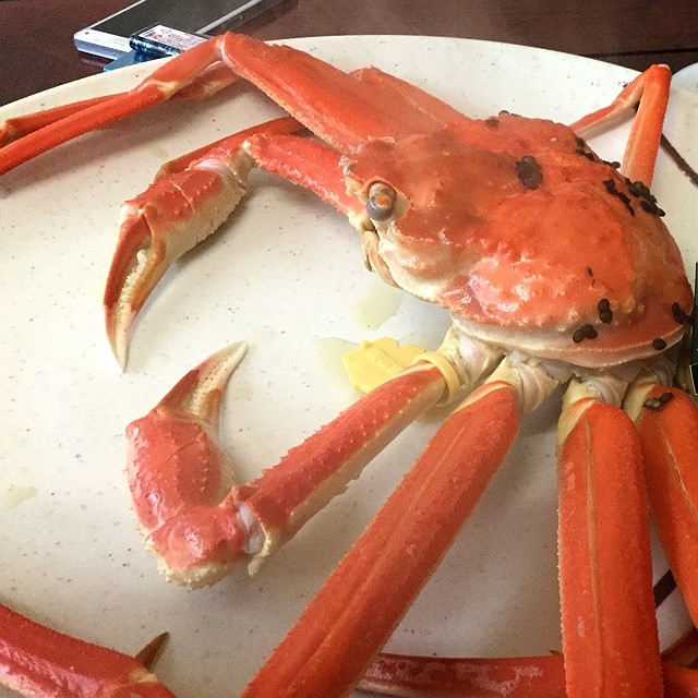 かとうけんいち