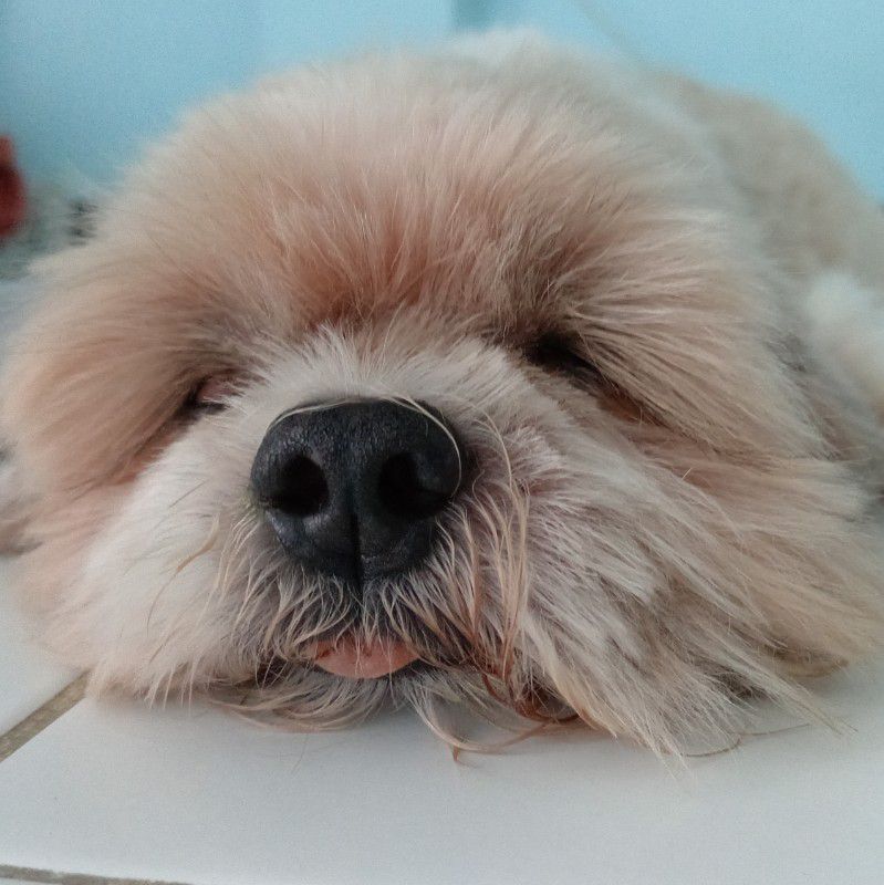 หวาน