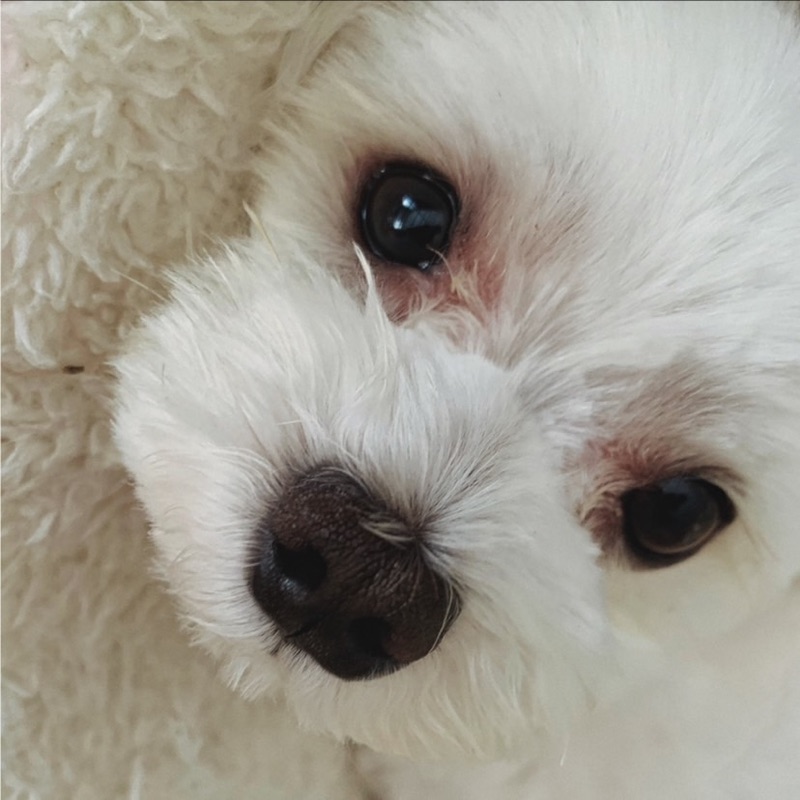 わたなべ あやか