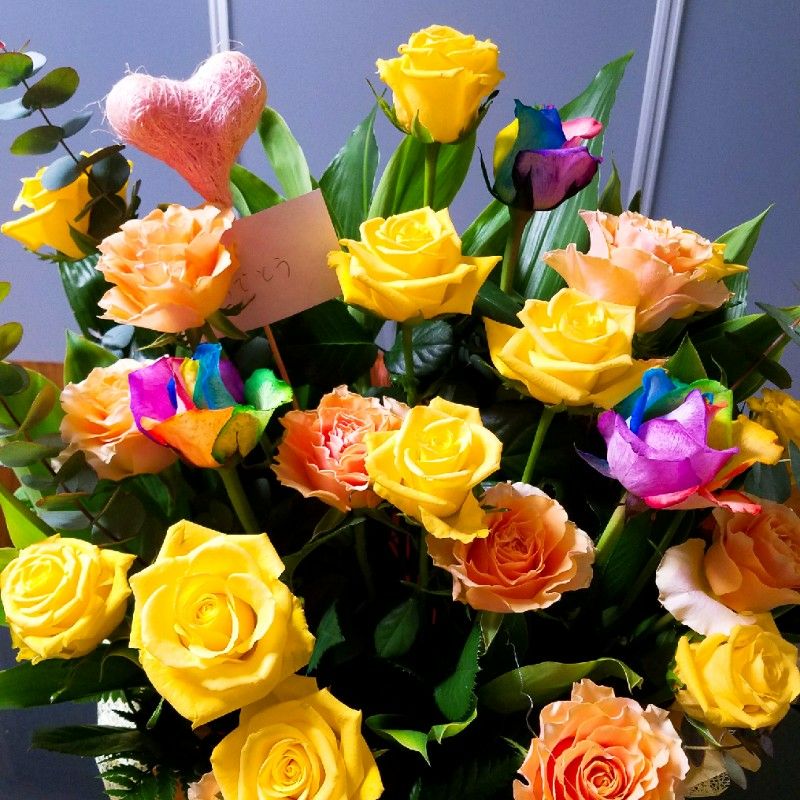 ブルーマウンテン