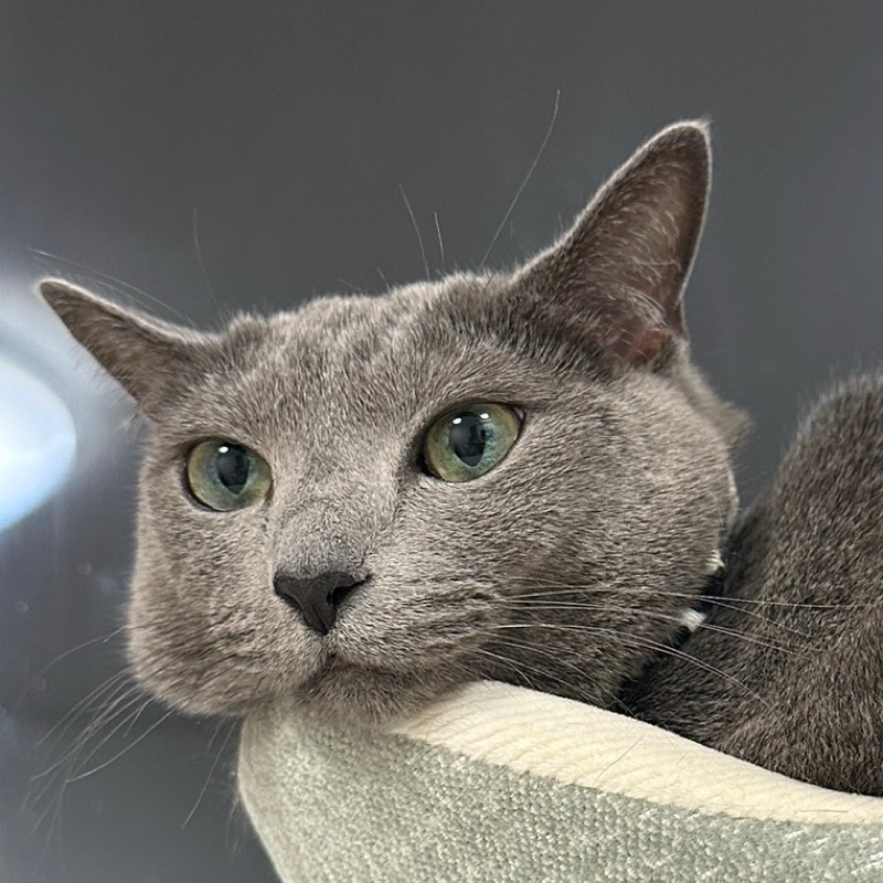 中村(尾高)美保