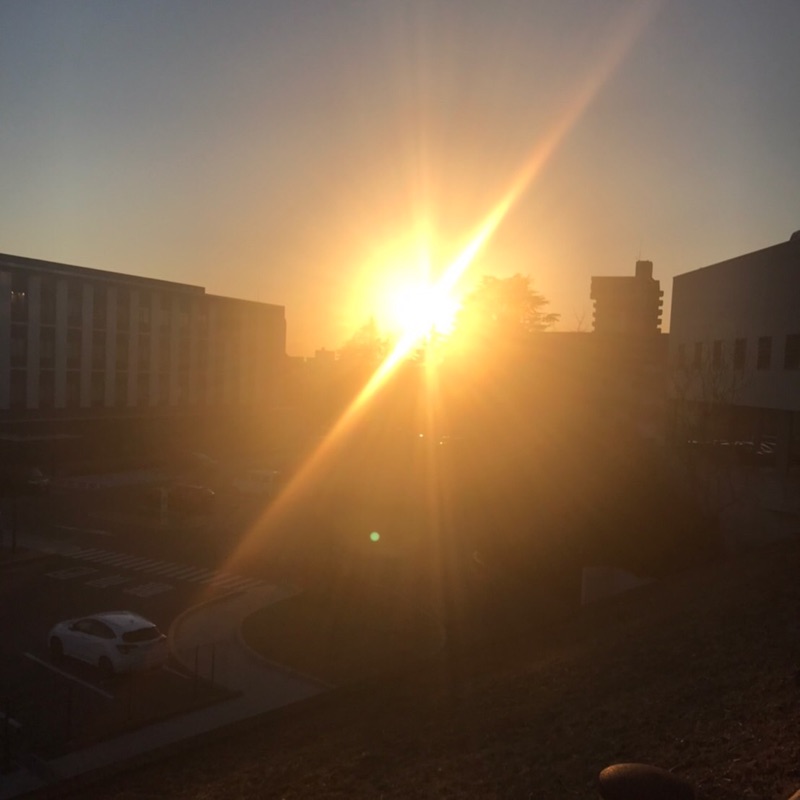 ichikawa市川 信子