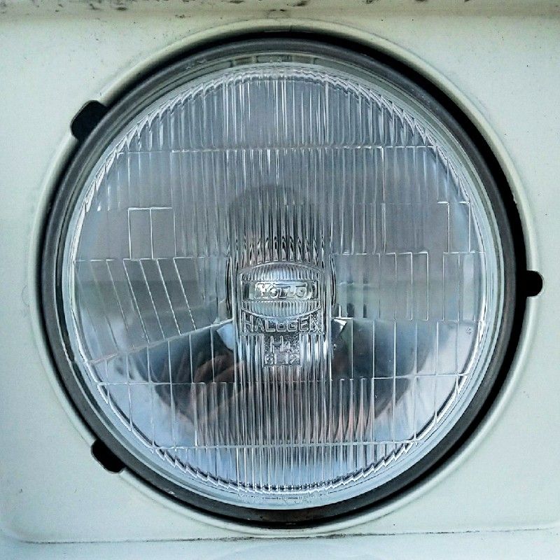 ニック(しゅんすけ)