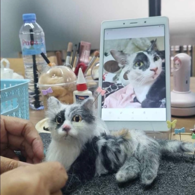 เก๋