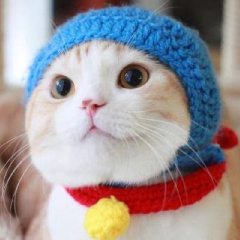 よしおか ちとせ