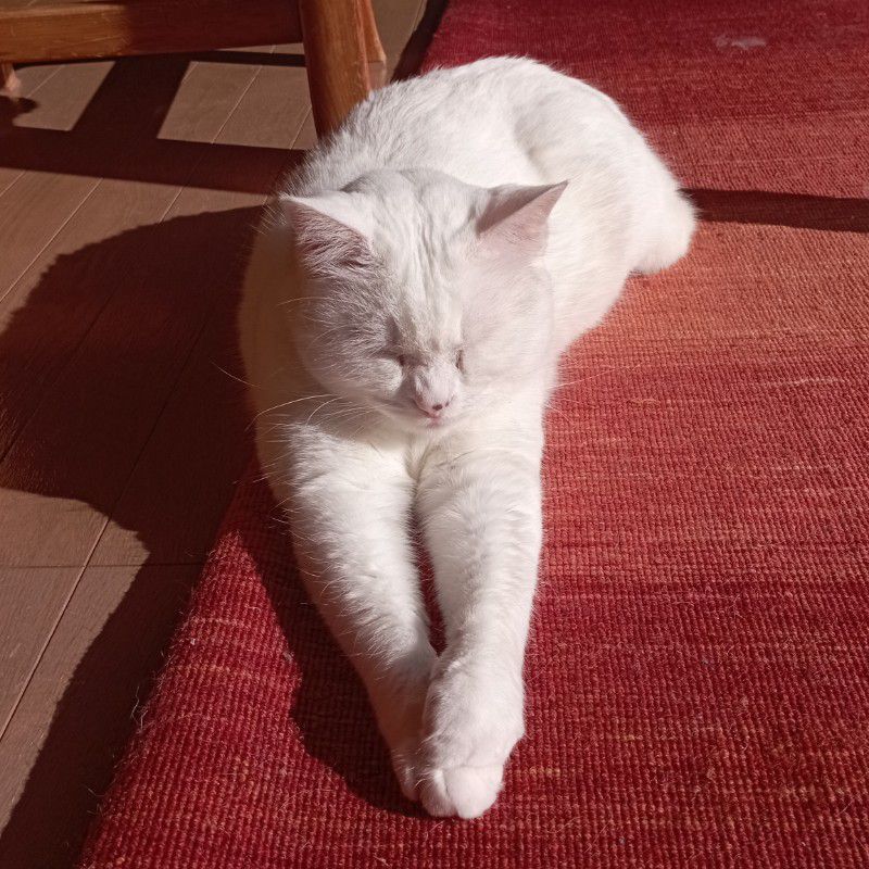 清水 春佳 Haruka (るか)