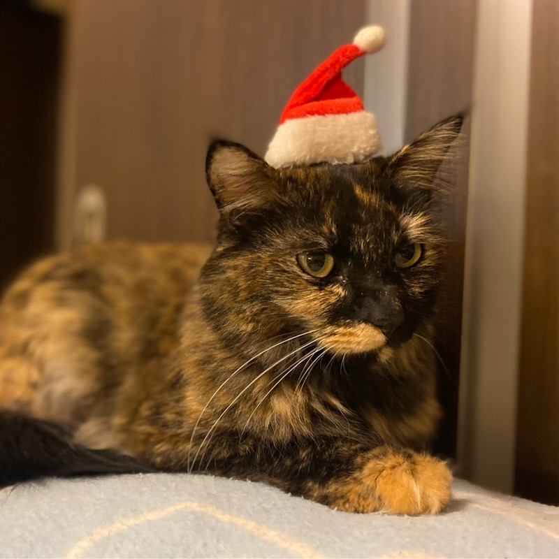 ハッピーターン⭐︎