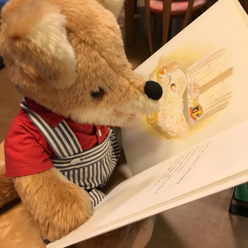 みなみ  のりこ