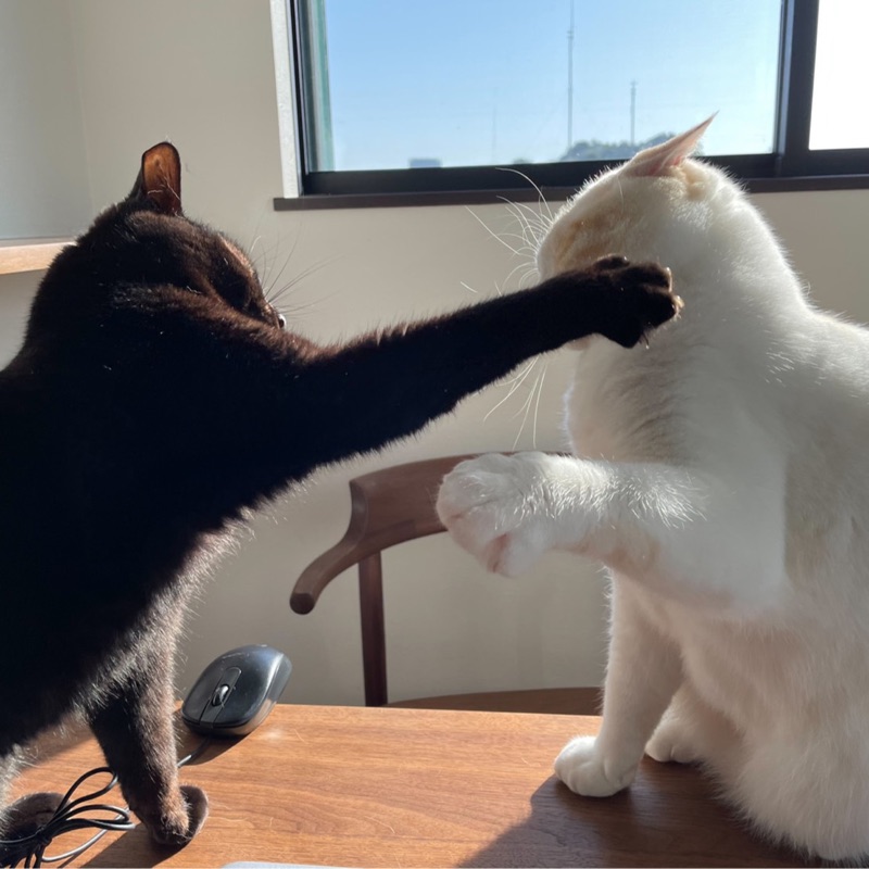 ほまれちゃんママ