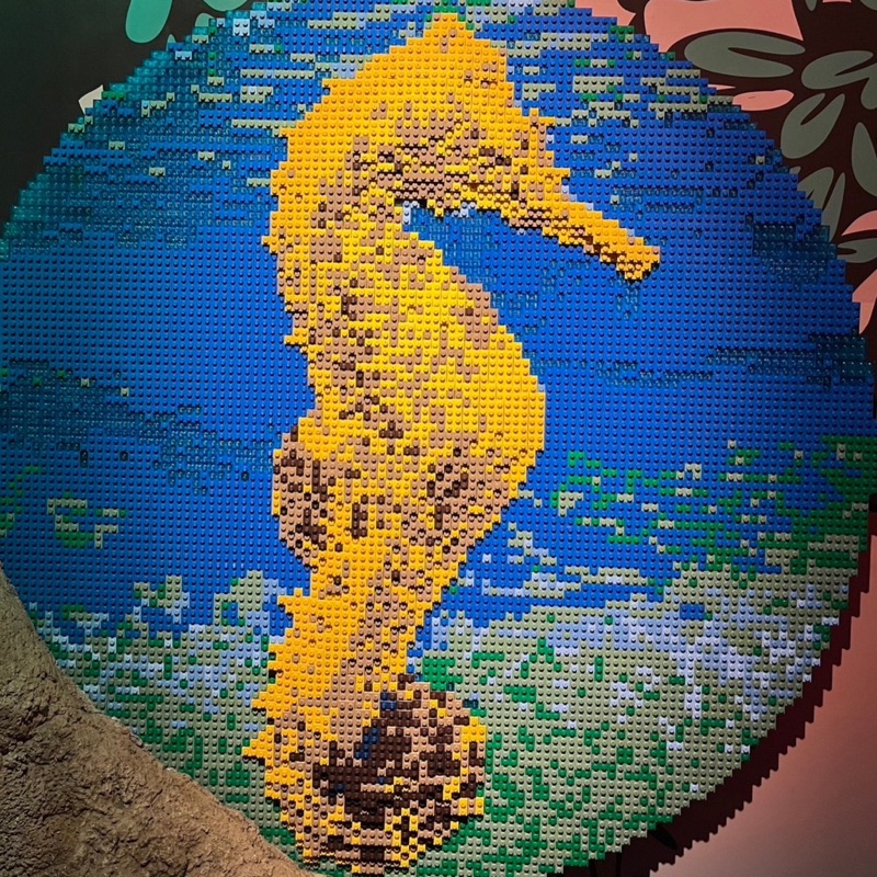 たつみのまんま