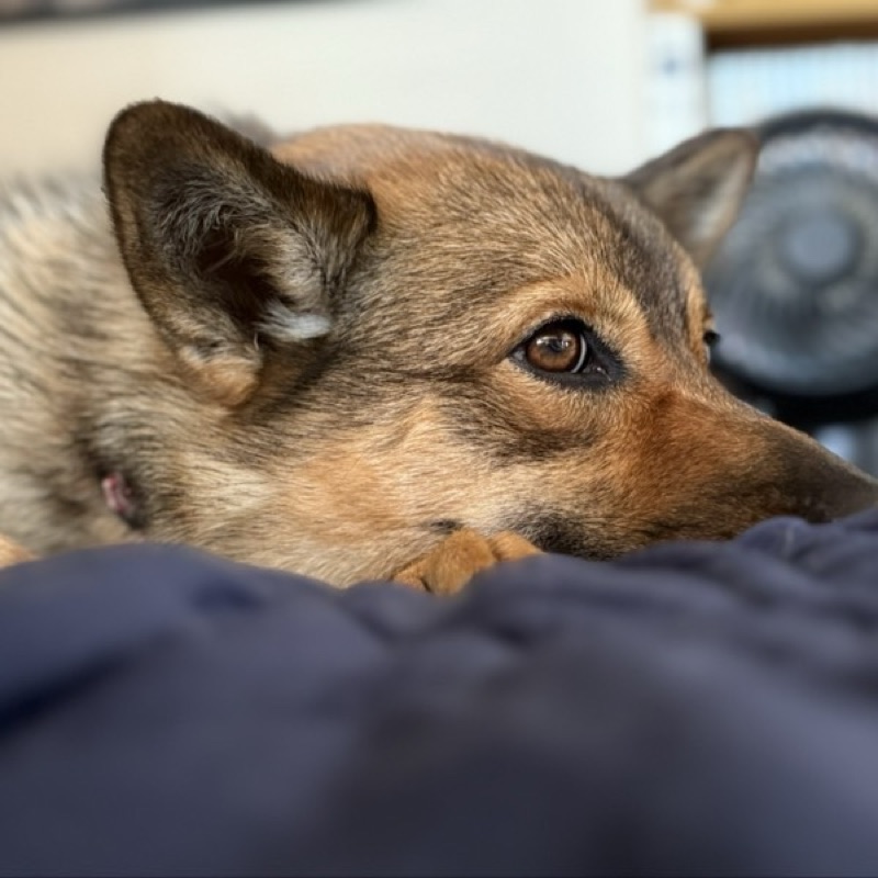 藤岡(松本)怜子