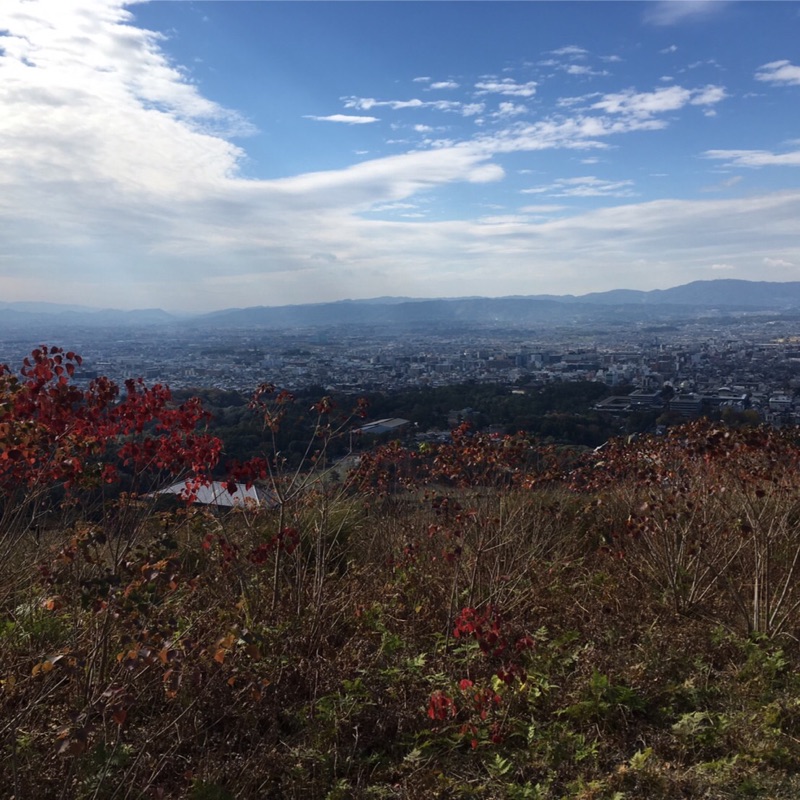 penguinsumsum@gmail.com