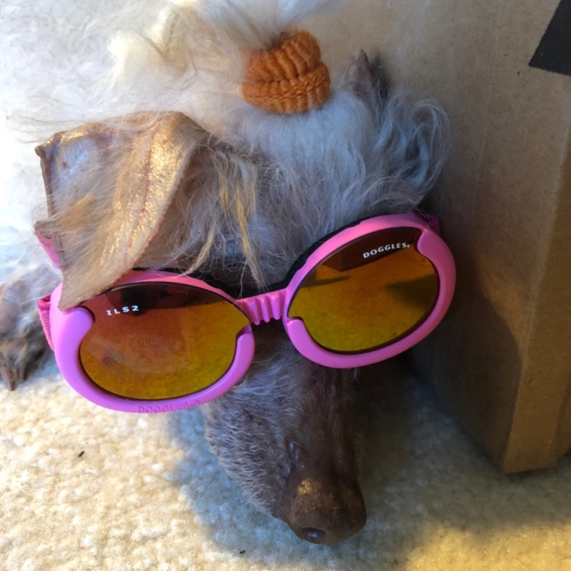 ジョンソン みちる