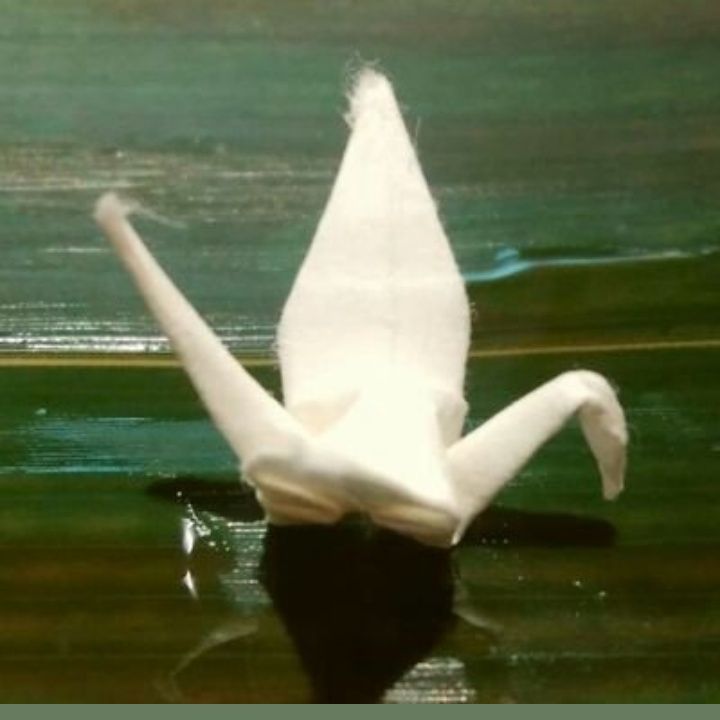 藤澤里奈 FUJISAWA Rina