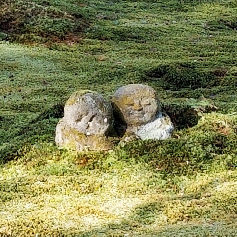 ハシダテ　ヒロユキ