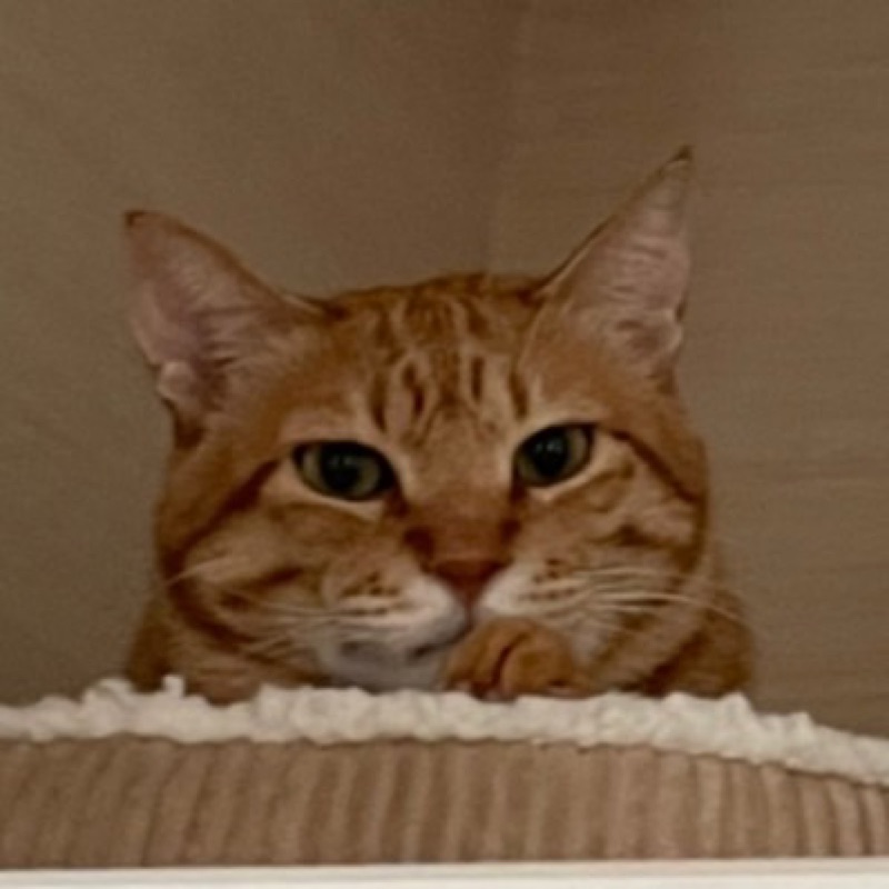 anthimin9@yahoo.co.jp