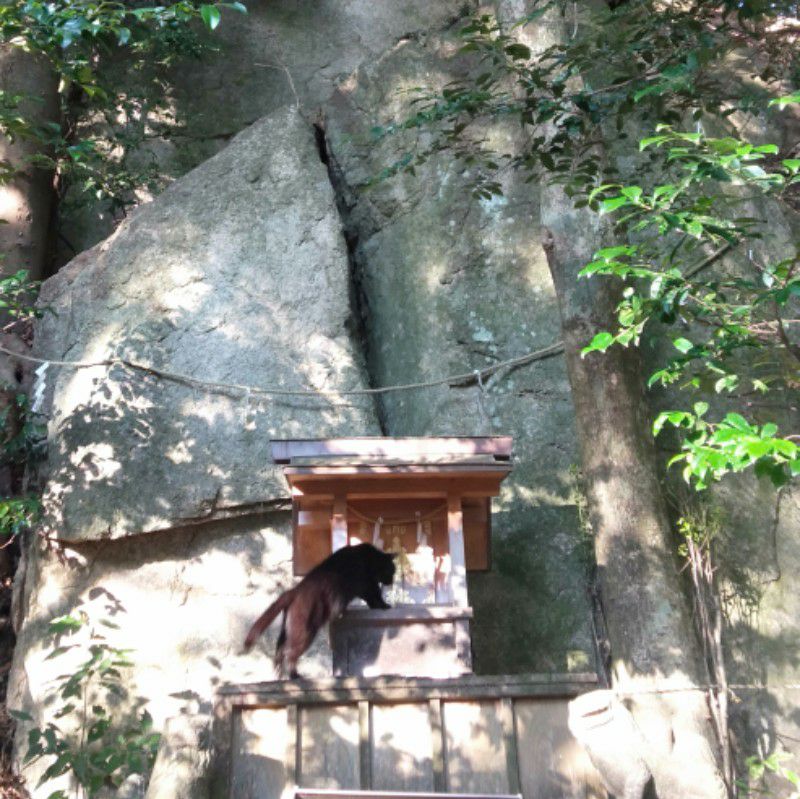 ☆saya🍀youko☆@HRcat