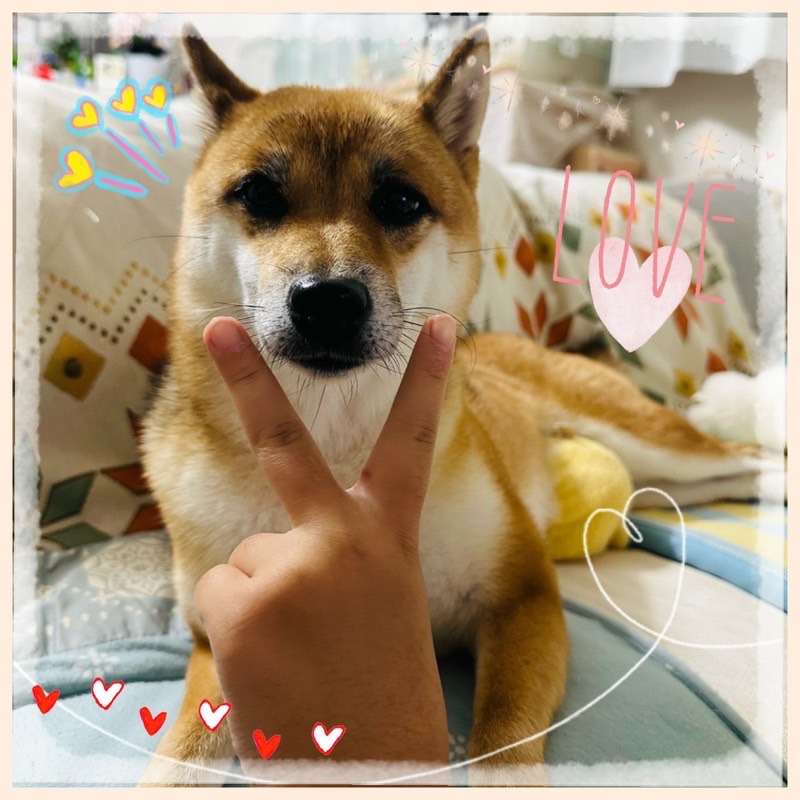 さおり♡松(熊)