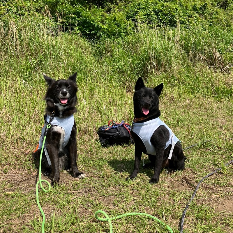 アップーばーば