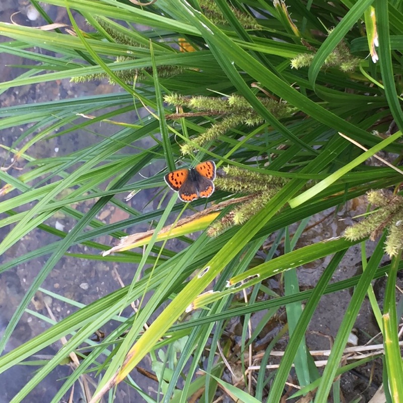 戸谷 和夫&美代子