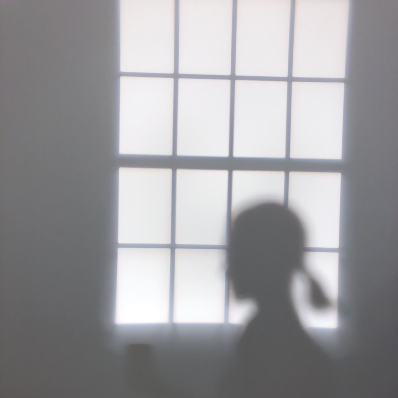 AikoKamimuraHasegawa