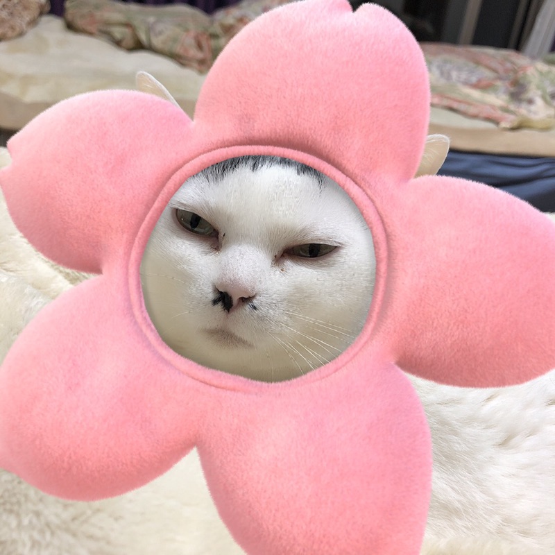 まっちゃん