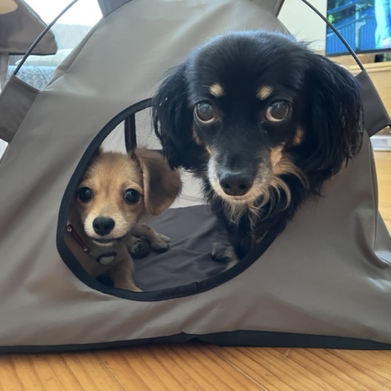 コバヤシ ススム