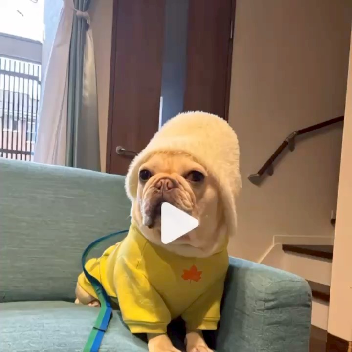 .*˚✩真由✩.*˚