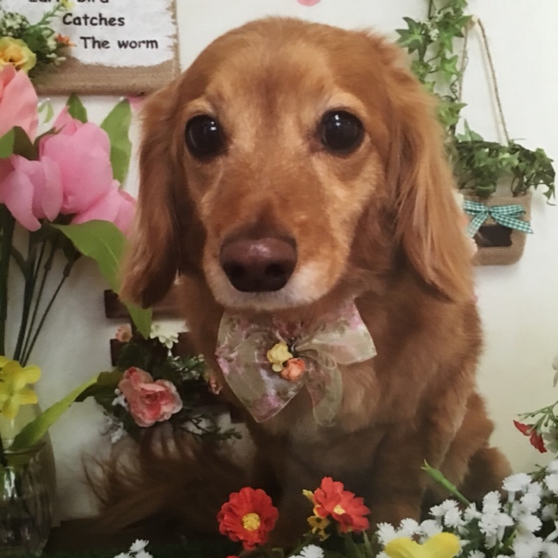 伊藤史織（播本）