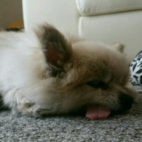 しゃべりBARみお