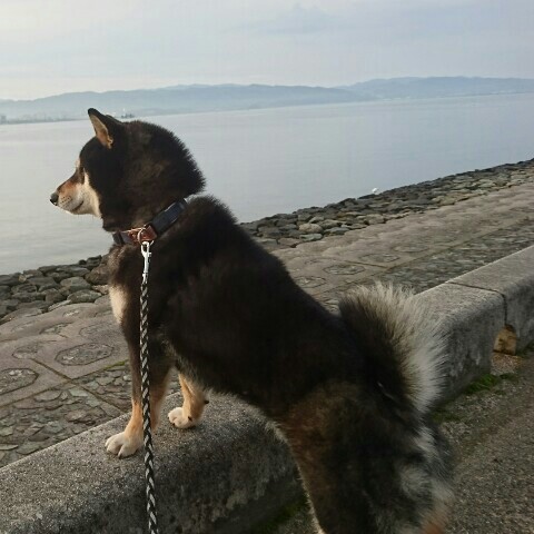 イノウエマサオ