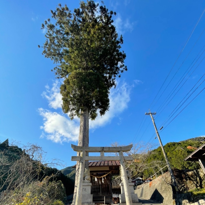 おまいりさん　じゃす