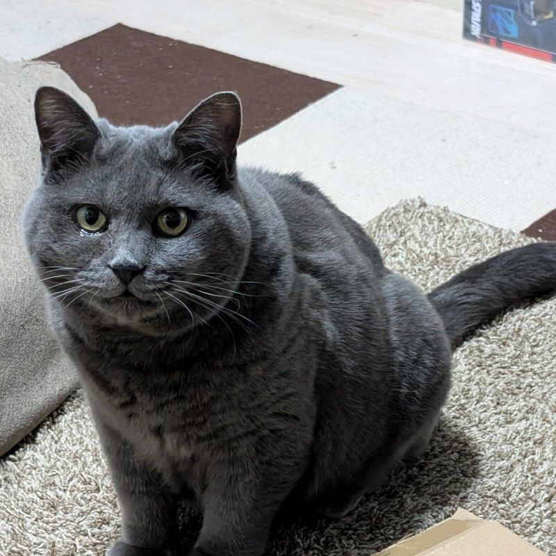 ishikoro0215@gmail.com