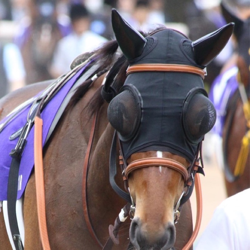 ダービー馬列伝 缶バッジ コンプセット ダービー馬列伝くじ 缶バッジ 