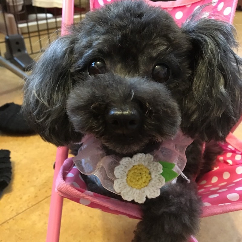 emi(ㆀ˘･з･˘)