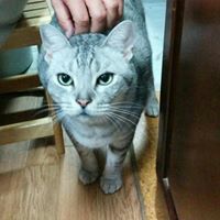 テン吉 水野 沖田宗憲　宗八父