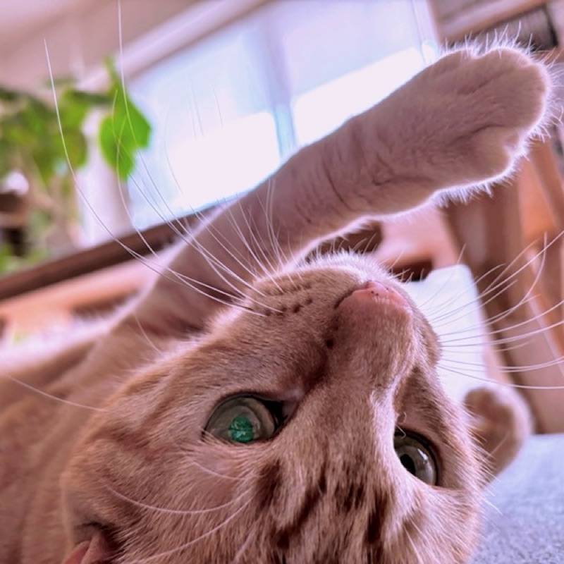 もりとも