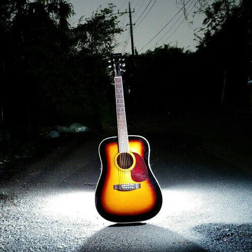 わたる 🐤🐶😸🐴