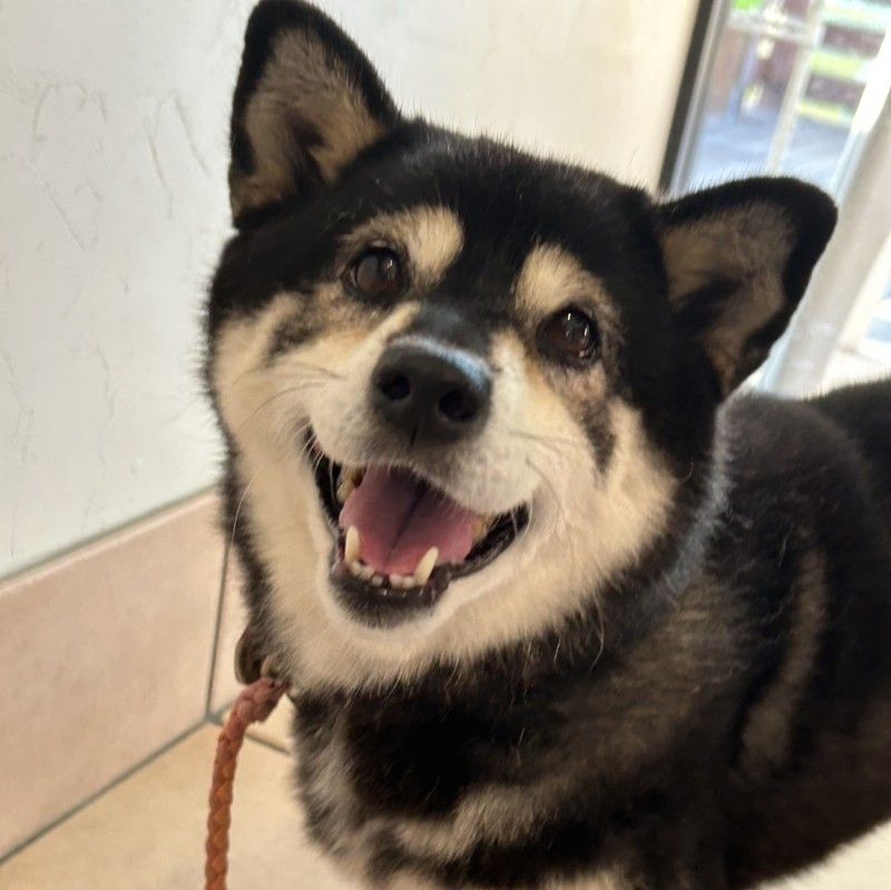 きしもとひろみ