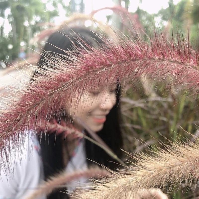 แก้ม
