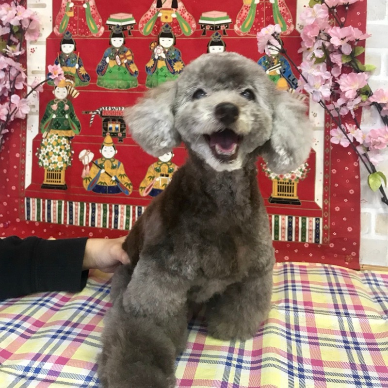 新田